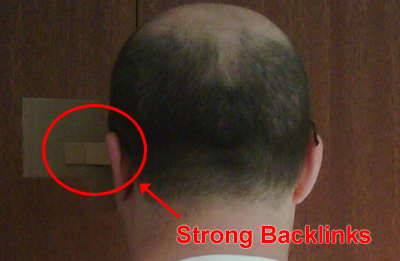 Ensure you have strong backlinks when wearing a search engine disguise - especially if you wear glasses! Ensure you have strong backlinks when wearing a search engine disguise - especially if you wear glasses!